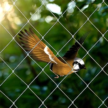 Why Choose MS Bird Netting