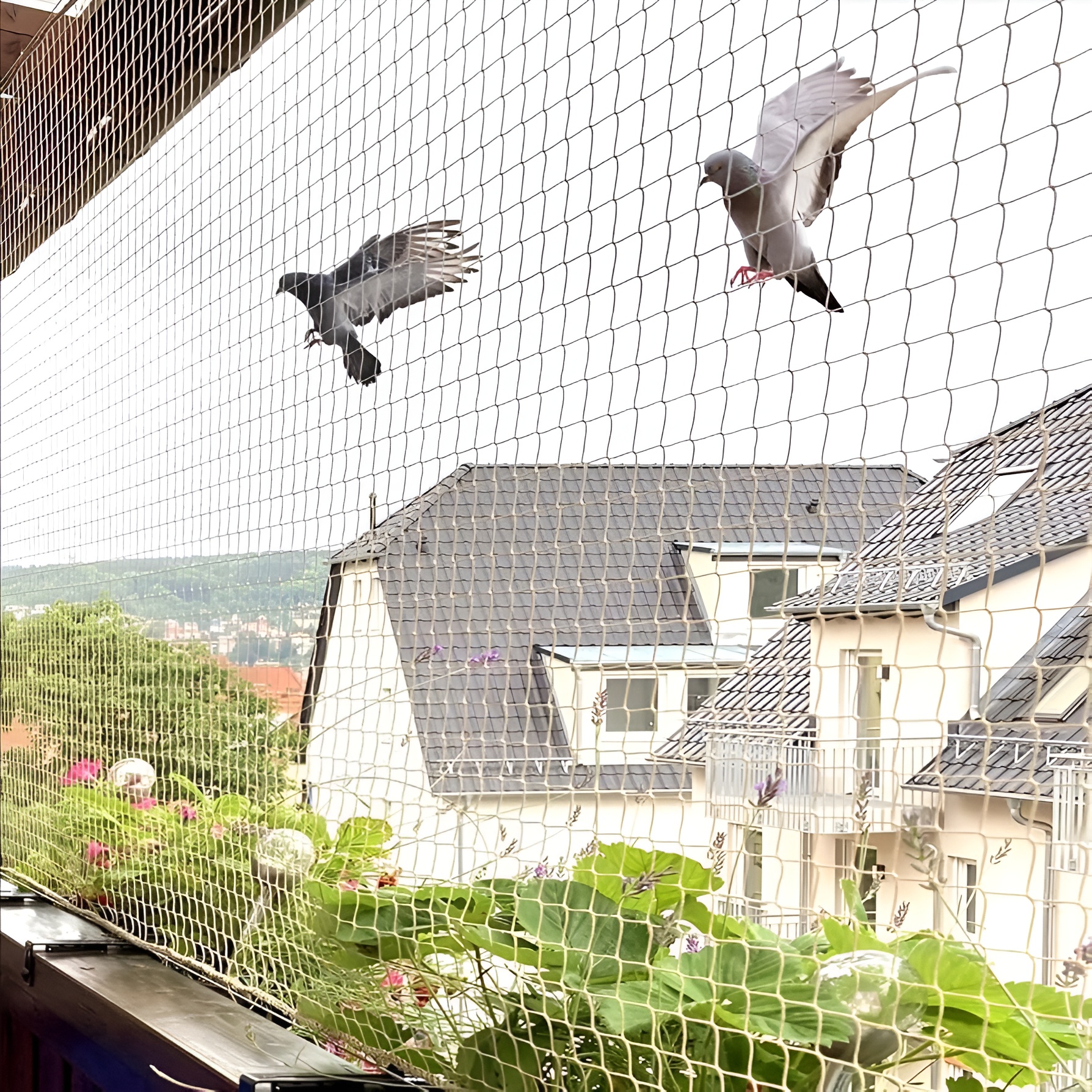 Bird Net Installation Mumbai